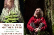 Suzanne Simard Finding the Mother Tree