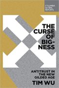 curse of bigness