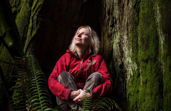 Suzanne Simard