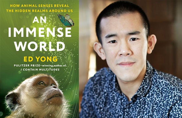 Ed Yong's <em>An Immense World</em>