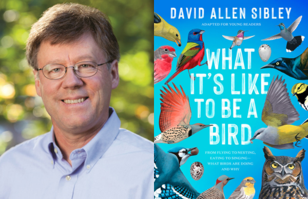 David Allen Sibley's <em>What It’s Like to Be a Bird</em> (Young Readers Edition)